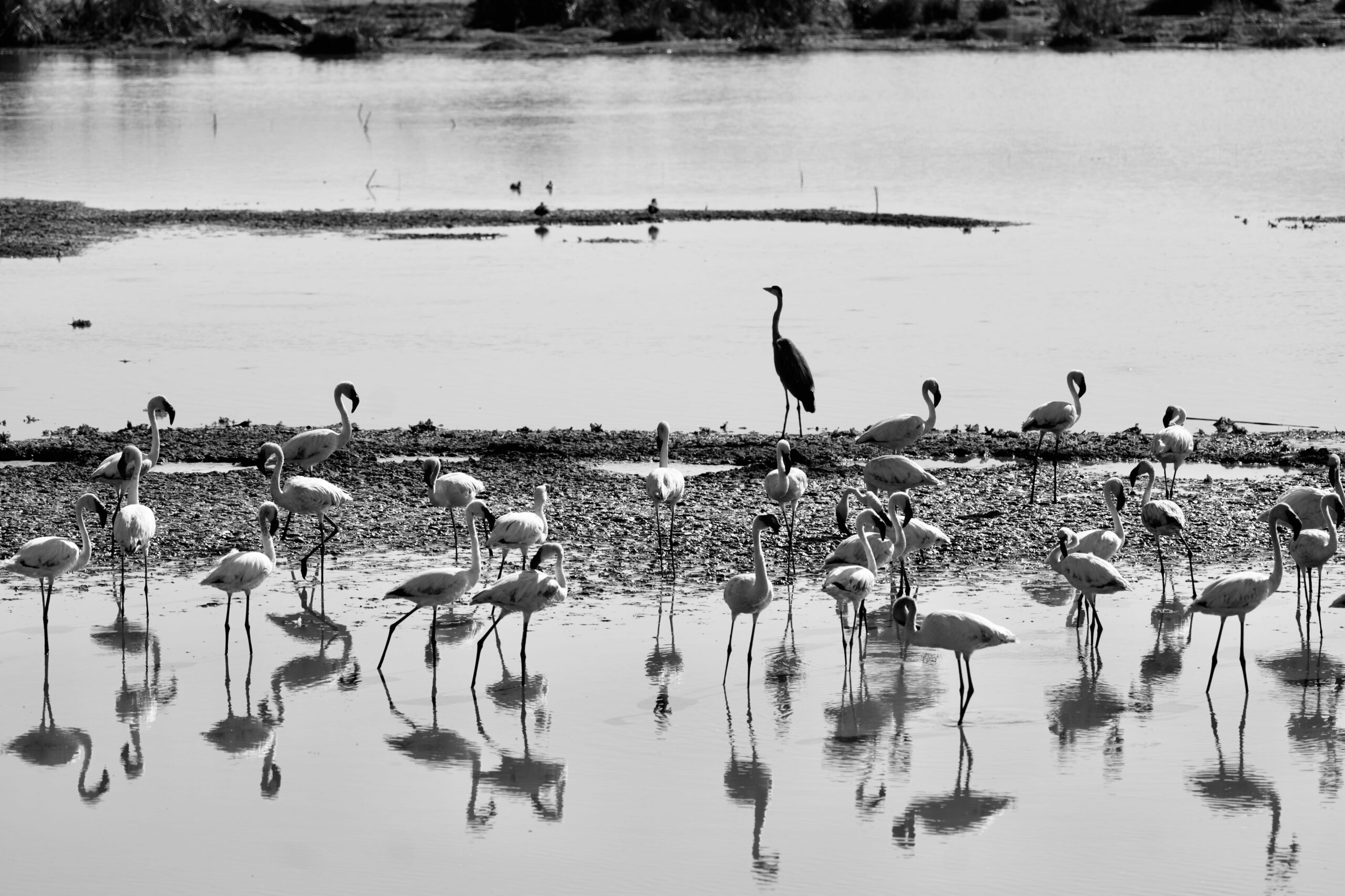 lake manyara national park