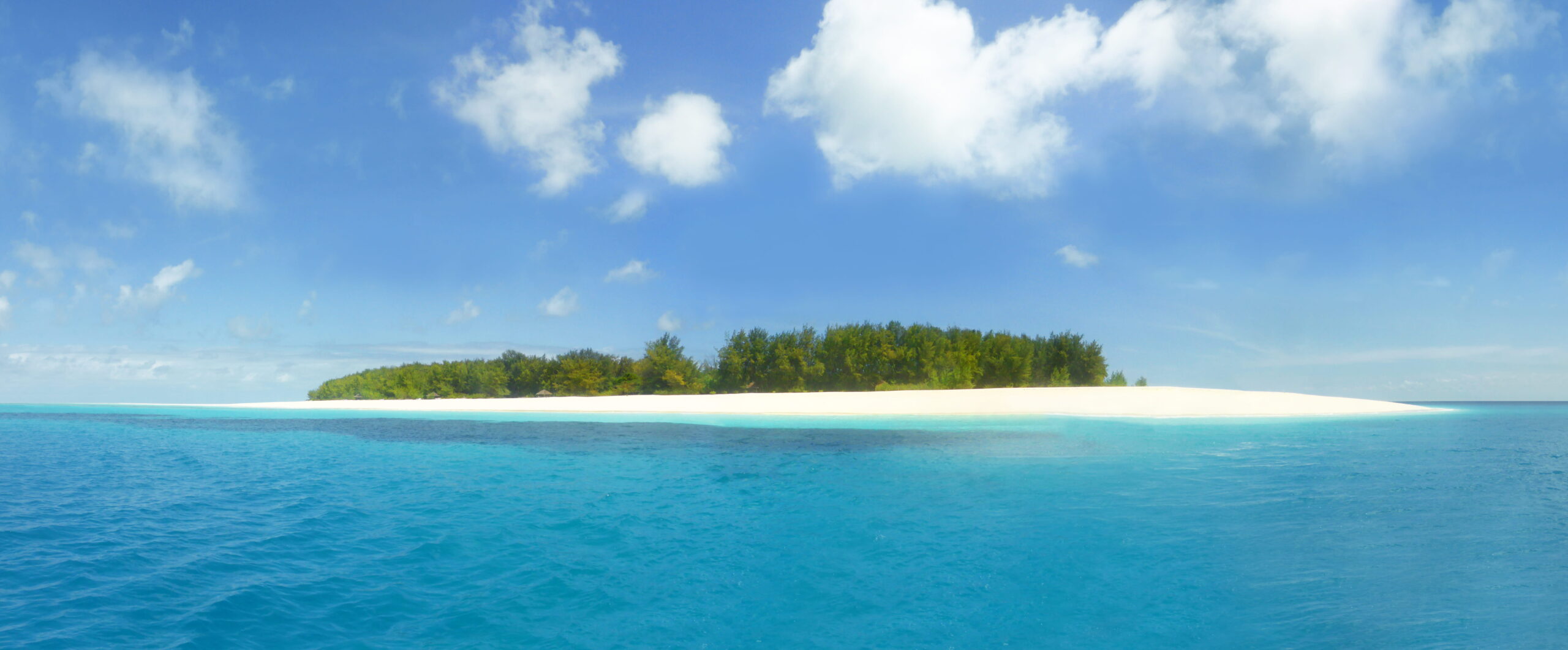 mnemba island snorkeling