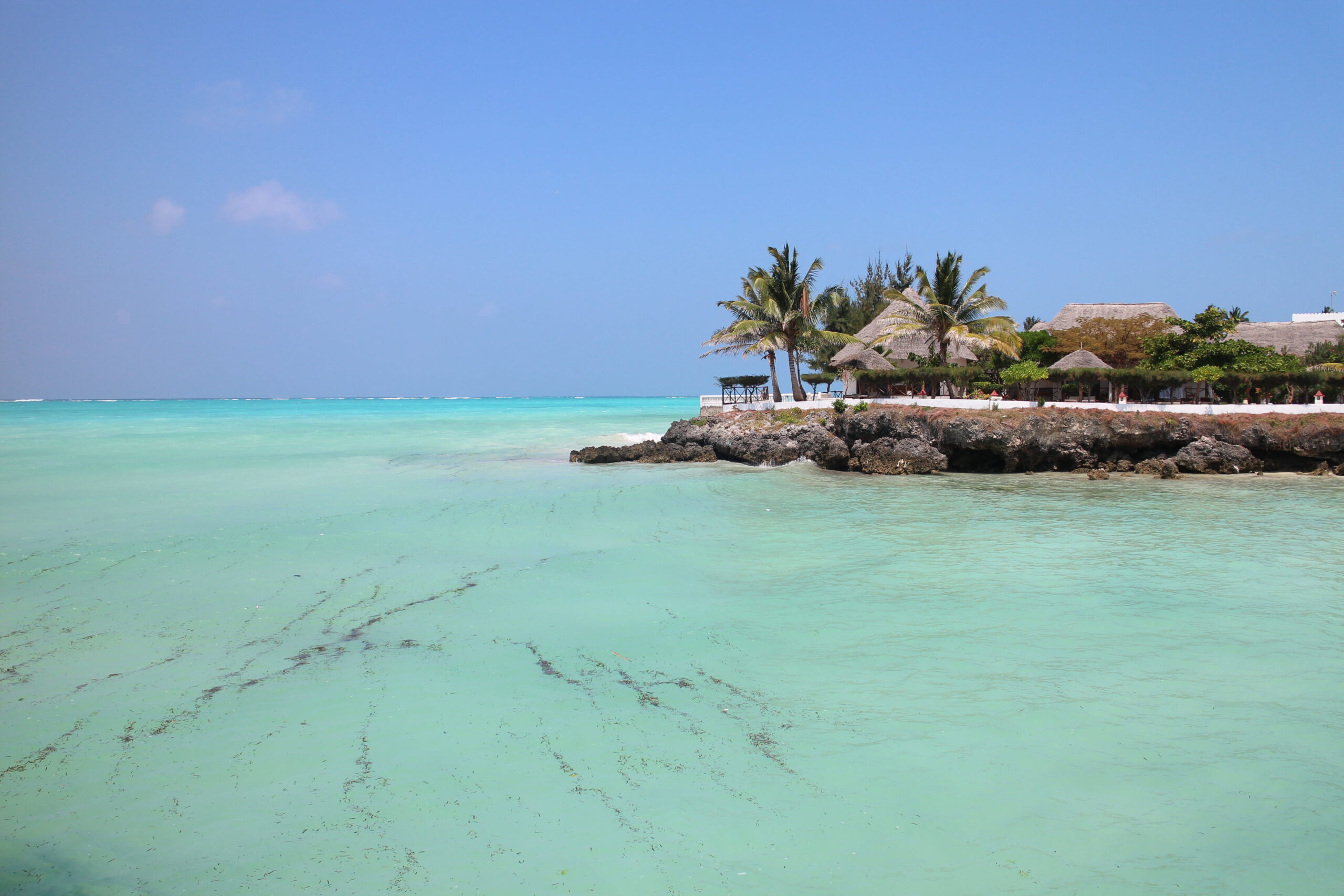 rocky trip zanzibar