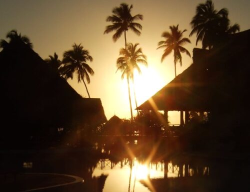 Viata de noapte in Zanzibar, mult mai bogata decat ti-ai putea imagina!