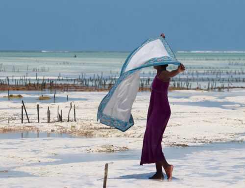Zanzibar, printre cele mai potrivite destinatii exotice de iarna!